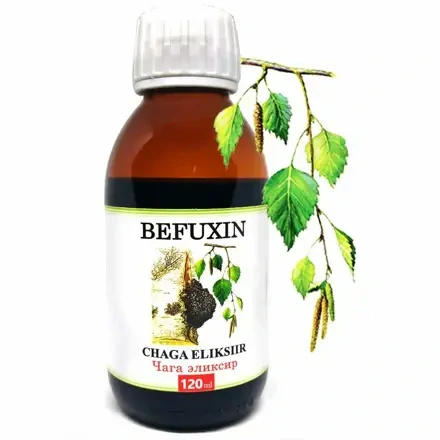 BEFUXIN – elixír z čagy 120 ml